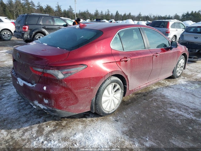 4T1C11BK7MU039290 Toyota Camry Le Awd