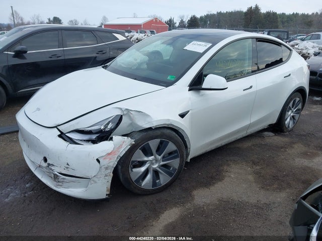 2023 TESLA MODEL Y 7SAYGAEE7PF610842 Photo 1