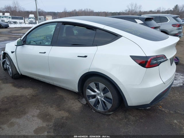 2023 TESLA MODEL Y 7SAYGAEE7PF610842 Photo 2