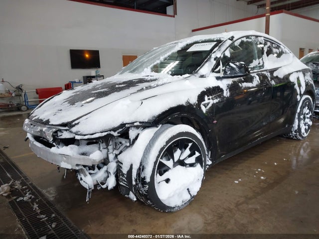 2023 TESLA MODEL Y 7SAYGDEE1PA150401 Photo 1