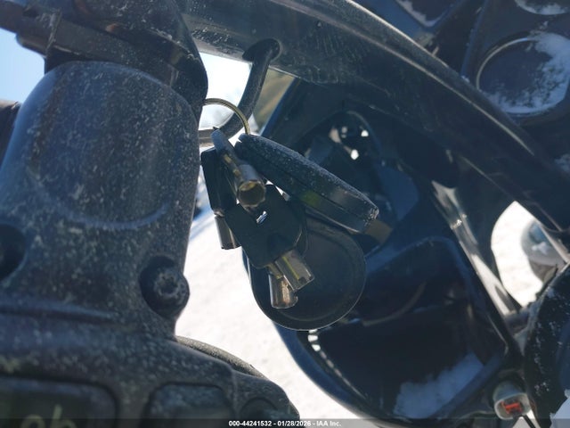 2020 HARLEY-DAVIDSON FLTRXS 1HD1KTP17LB640938 Photo 10