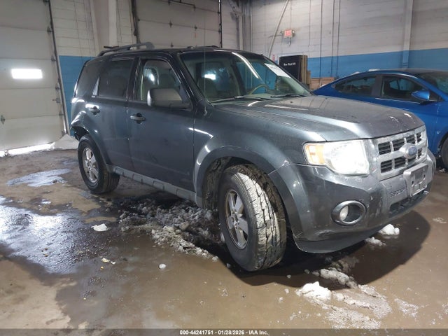 Auction sale of the 2009 Ford Escape Xlt, vin: 1FMCU937X9KC13100, lot number: 44241751