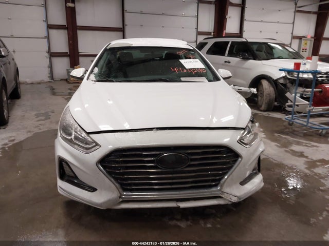 44242180 :رقم المزاد ، 5NPE24AF4KH760111 vin ، 2019 Hyundai Sonata Se مزاد بيع