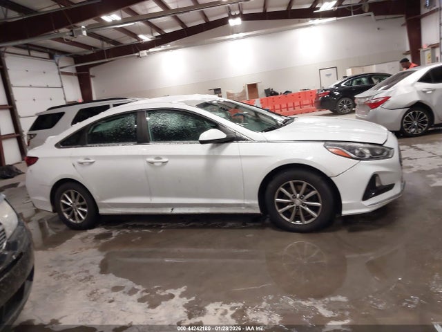 44242180 :رقم المزاد ، 5NPE24AF4KH760111 vin ، 2019 Hyundai Sonata Se مزاد بيع