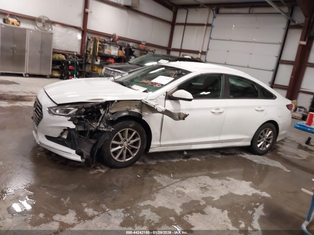 44242180 :رقم المزاد ، 5NPE24AF4KH760111 vin ، 2019 Hyundai Sonata Se مزاد بيع