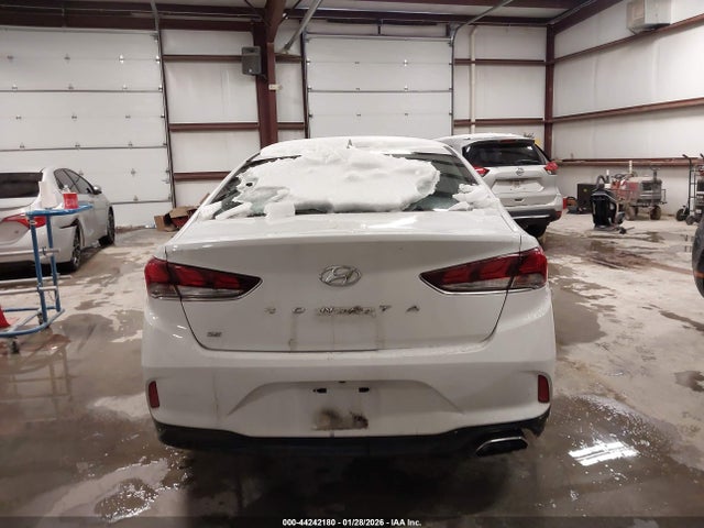 44242180 :رقم المزاد ، 5NPE24AF4KH760111 vin ، 2019 Hyundai Sonata Se مزاد بيع