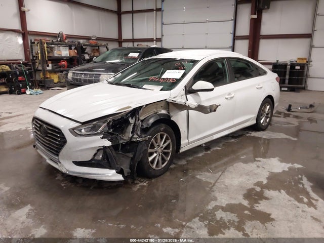 44242180 :رقم المزاد ، 5NPE24AF4KH760111 vin ، 2019 Hyundai Sonata Se مزاد بيع
