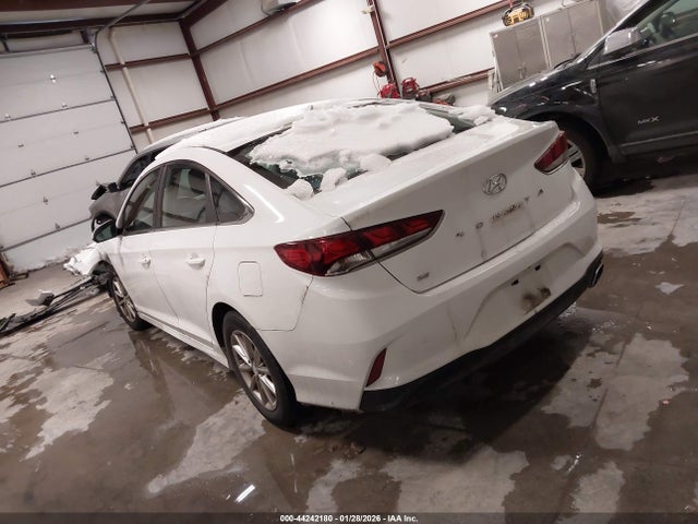 44242180 :رقم المزاد ، 5NPE24AF4KH760111 vin ، 2019 Hyundai Sonata Se مزاد بيع