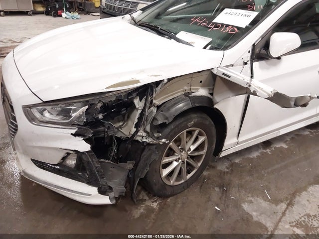 44242180 :رقم المزاد ، 5NPE24AF4KH760111 vin ، 2019 Hyundai Sonata Se مزاد بيع