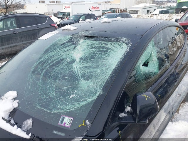 2023 TESLA MODEL 3 5YJ3E1EC1PF507511 Photo 5