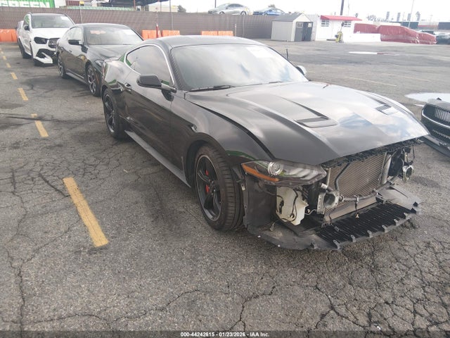 2019 1FA6P8K01K5502206 main image