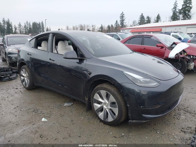 2024 TESLA MODEL Y 7SAYGDEE0RF085188 Photo 0