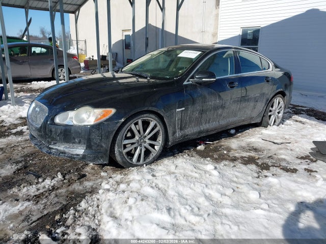 2010 JAGUAR XF SAJWA0GB5ALR51780 Photo 1