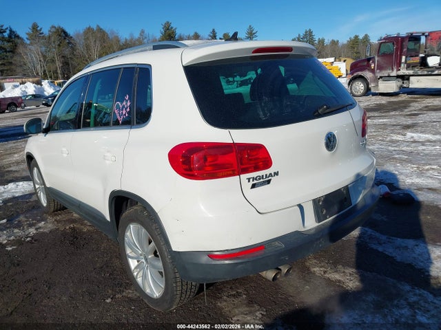 2013 VOLKSWAGEN TIGUAN WVGBV3AX4DW581718 Photo 2