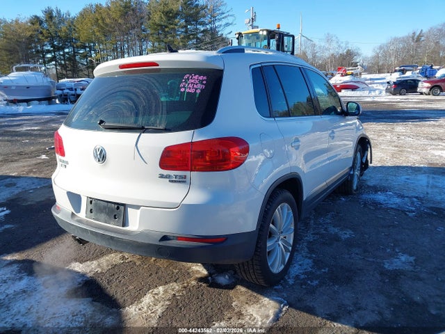 2013 VOLKSWAGEN TIGUAN WVGBV3AX4DW581718 Photo 3