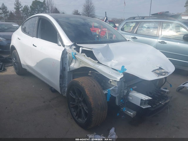 2025 TESLA MODEL Y 7SAYGDEE0SA348668 Photo 0