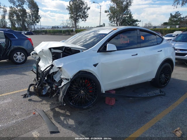 2022 TESLA MODEL Y 7SAYGDEF8NF445617 Photo 1