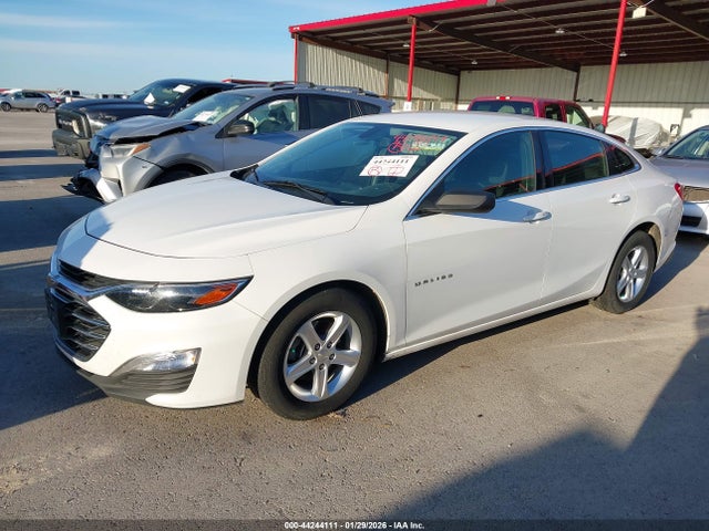 1G1ZB5ST6KF190708 Chevrolet Malibu 1ls