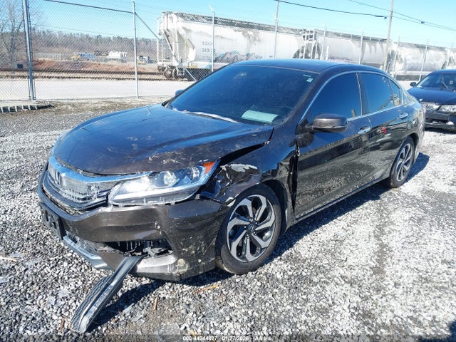 1HGCR2F94GA169657 Honda Accord Ex-l