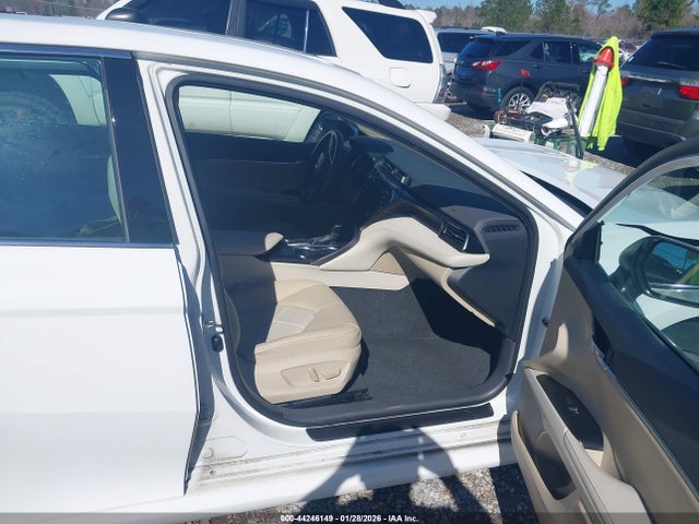 4T1B11HK6KU766923 Toyota CAMRY XLE