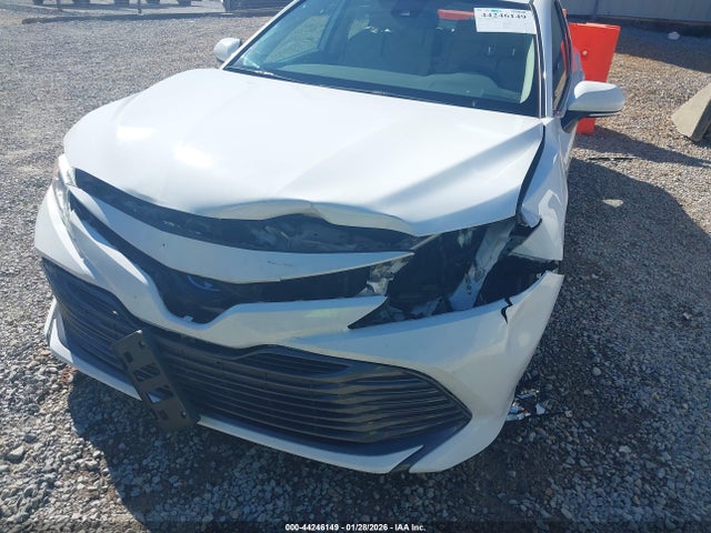 4T1B11HK6KU766923 Toyota CAMRY XLE