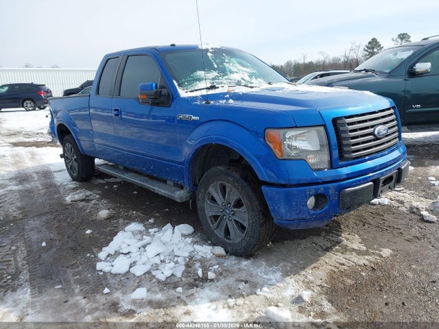 2010 FORD F-150 1FTFX1CV7AKC19613