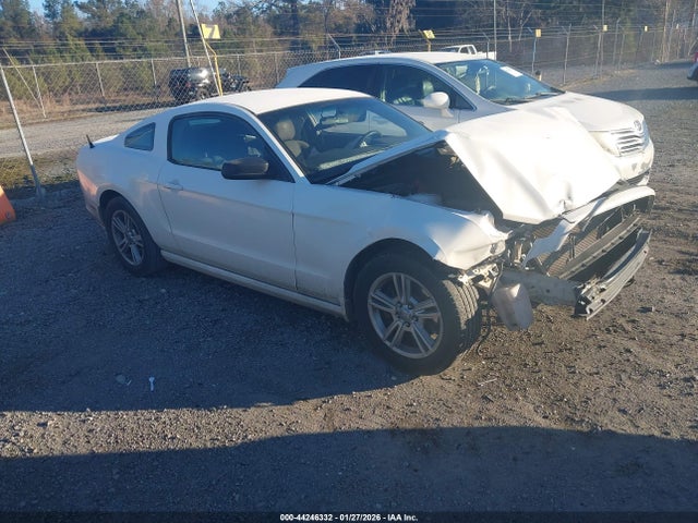 2013 FORD MUSTANG 1ZVBP8AM3D5211767