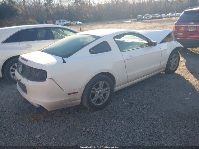 2013 FORD MUSTANG 1ZVBP8AM3D5211767 Photo 3