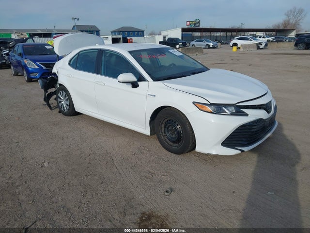 2020 TOYOTA CAMRY 4T1C31AK2LU524656