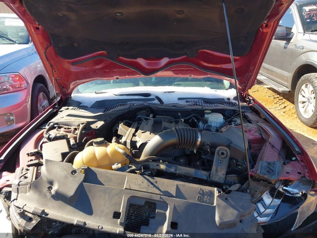 2019 FORD MUSTANG 1FA6P8THXK5118817 Photo 9