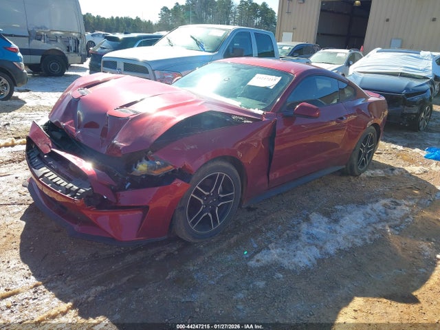 2019 FORD MUSTANG 1FA6P8THXK5118817 Photo 1