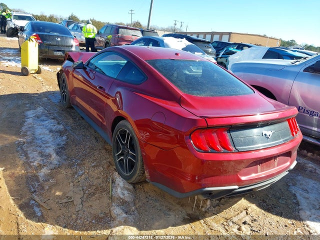 2019 FORD MUSTANG 1FA6P8THXK5118817 Photo 2