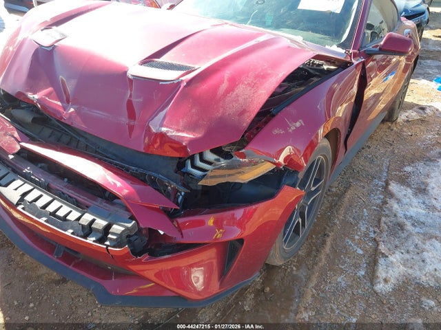 2019 FORD MUSTANG 1FA6P8THXK5118817 Photo 5