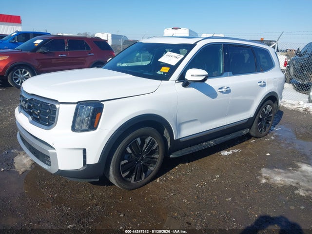 2024 Kia Telluride Sx Prestige მანქანა იყიდება აუქციონზე, vin: 5XYP5DGC2RG476734, აუქციონის ნომერი: 44247982