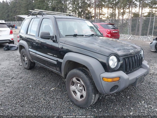 2003 JEEP LIBERTY 1J4GL48K63W545974