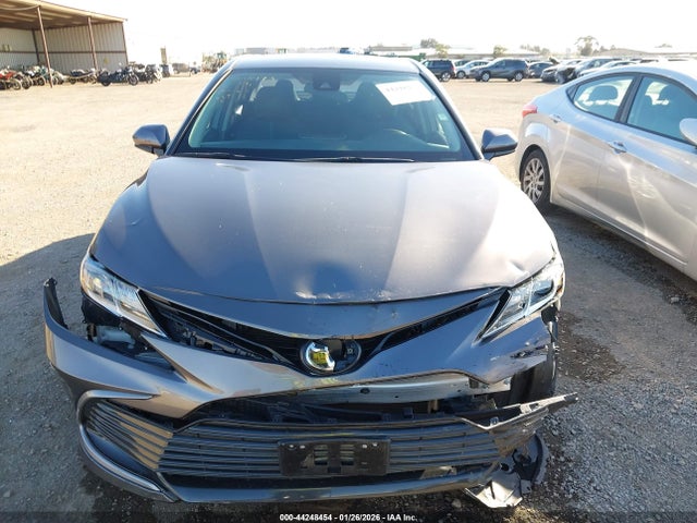 4T1C11AK9MU462356 Toyota CAMRY LE