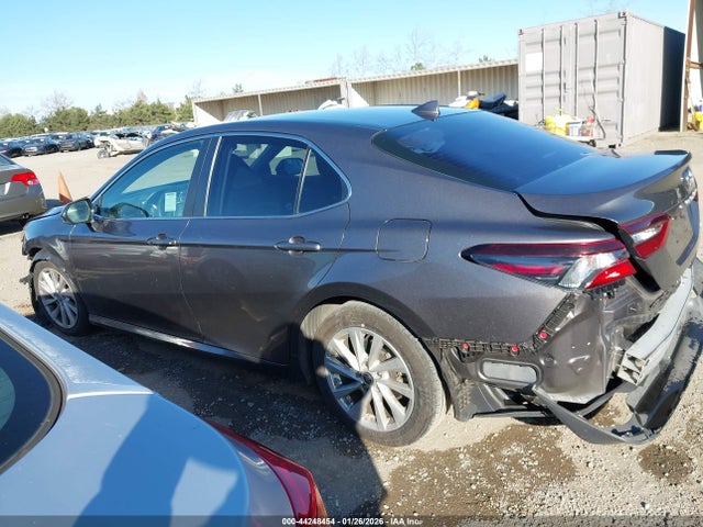 4T1C11AK9MU462356 Toyota CAMRY LE