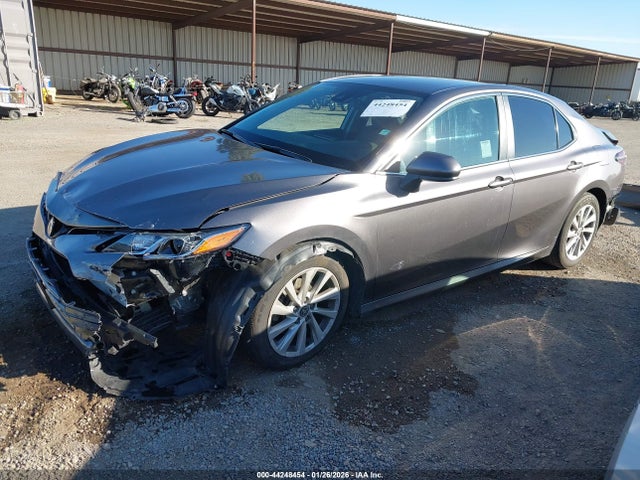4T1C11AK9MU462356 Toyota CAMRY LE