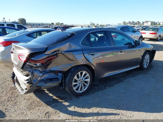 4T1C11AK9MU462356 Toyota CAMRY LE