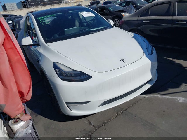 2020 TESLA MODEL Y 5YJYGDEE1LF048445 Photo 0