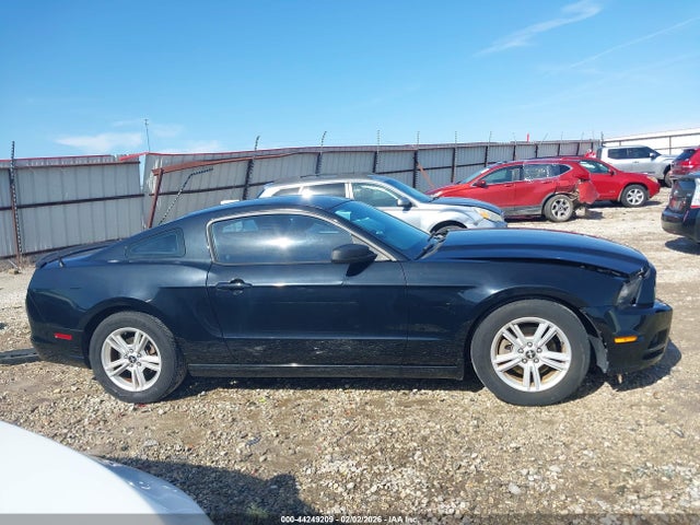 1ZVBP8AM5E5256078 Ford Mustang V6