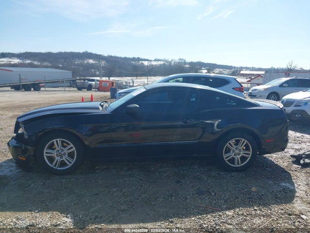 1ZVBP8AM5E5256078 Ford Mustang V6