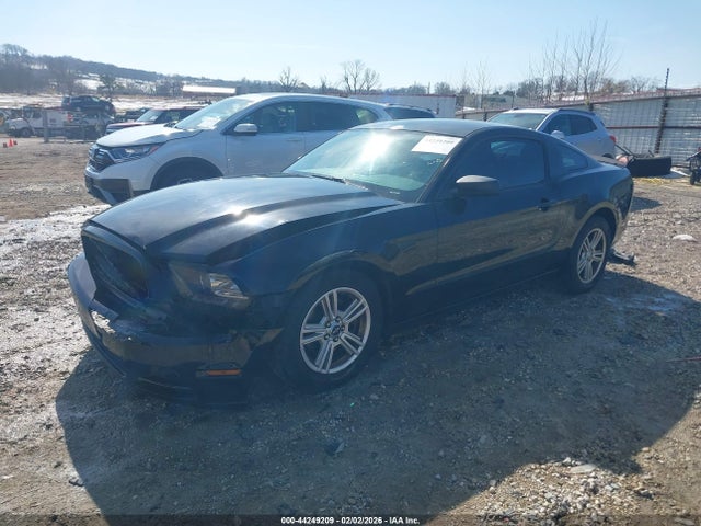 1ZVBP8AM5E5256078 Ford Mustang V6