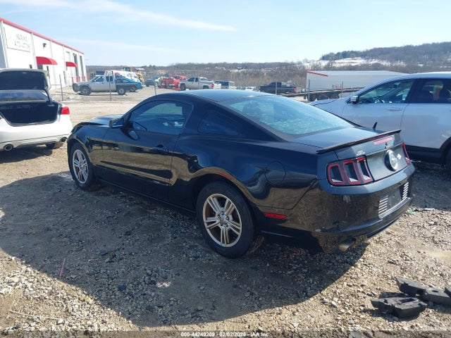 1ZVBP8AM5E5256078 Ford Mustang V6