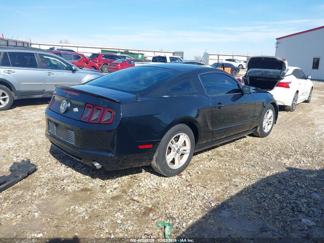 1ZVBP8AM5E5256078 Ford Mustang V6