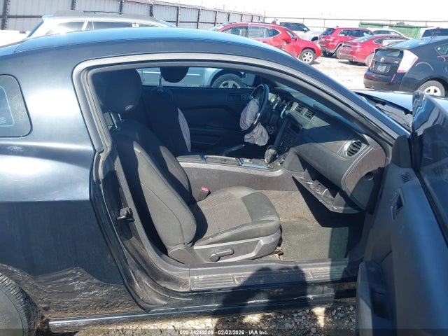 1ZVBP8AM5E5256078 Ford Mustang V6