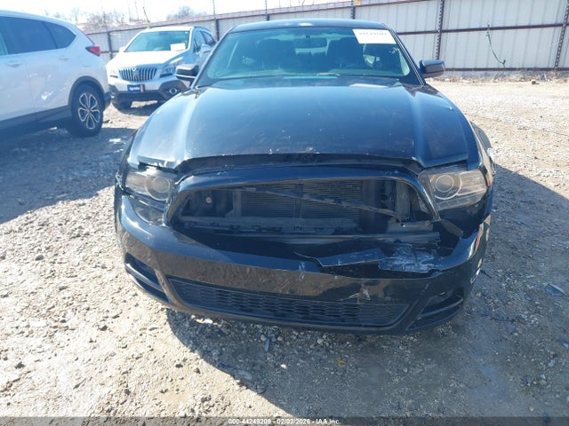 1ZVBP8AM5E5256078 Ford Mustang V6