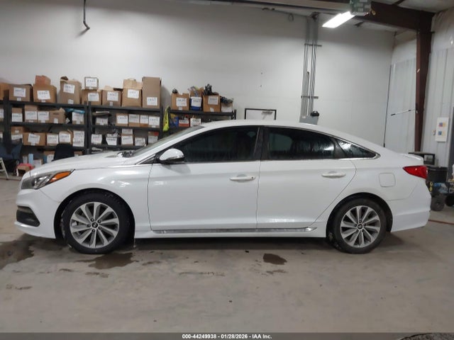 Hyundai Sonata Sport 2016 5NPE34AF6GH285002 Image 14