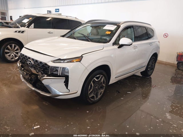 44250063 :رقم المزاد ، 5NMS5DAL4MH311947 vin ، 2021 Hyundai Santa Fe Calligraphy مزاد بيع