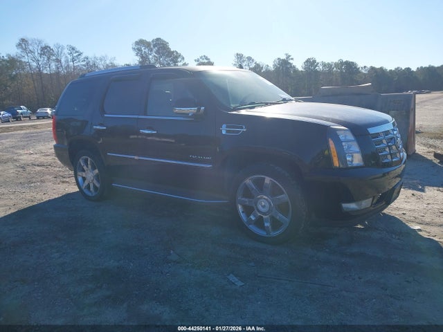 2010 CADILLAC ESCALADE 1GYUKBEF1AR246440 Photo 0